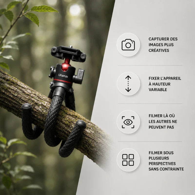 Trépied flexible noir accroché sur une branche d'arbre en forêt pour filmer là où les autres ne peuvent pas