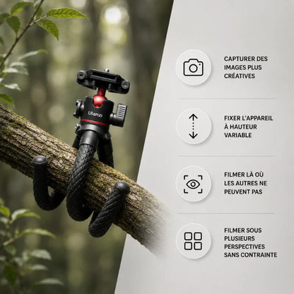 Trépied flexible noir accroché sur une branche d'arbre en forêt pour filmer là où les autres ne peuvent pas
